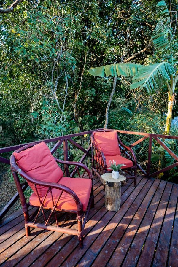 Antema Lodge Secteur Tamarindo, Piscine, Yoga, Gym, Jungle Et Paix Exterior foto